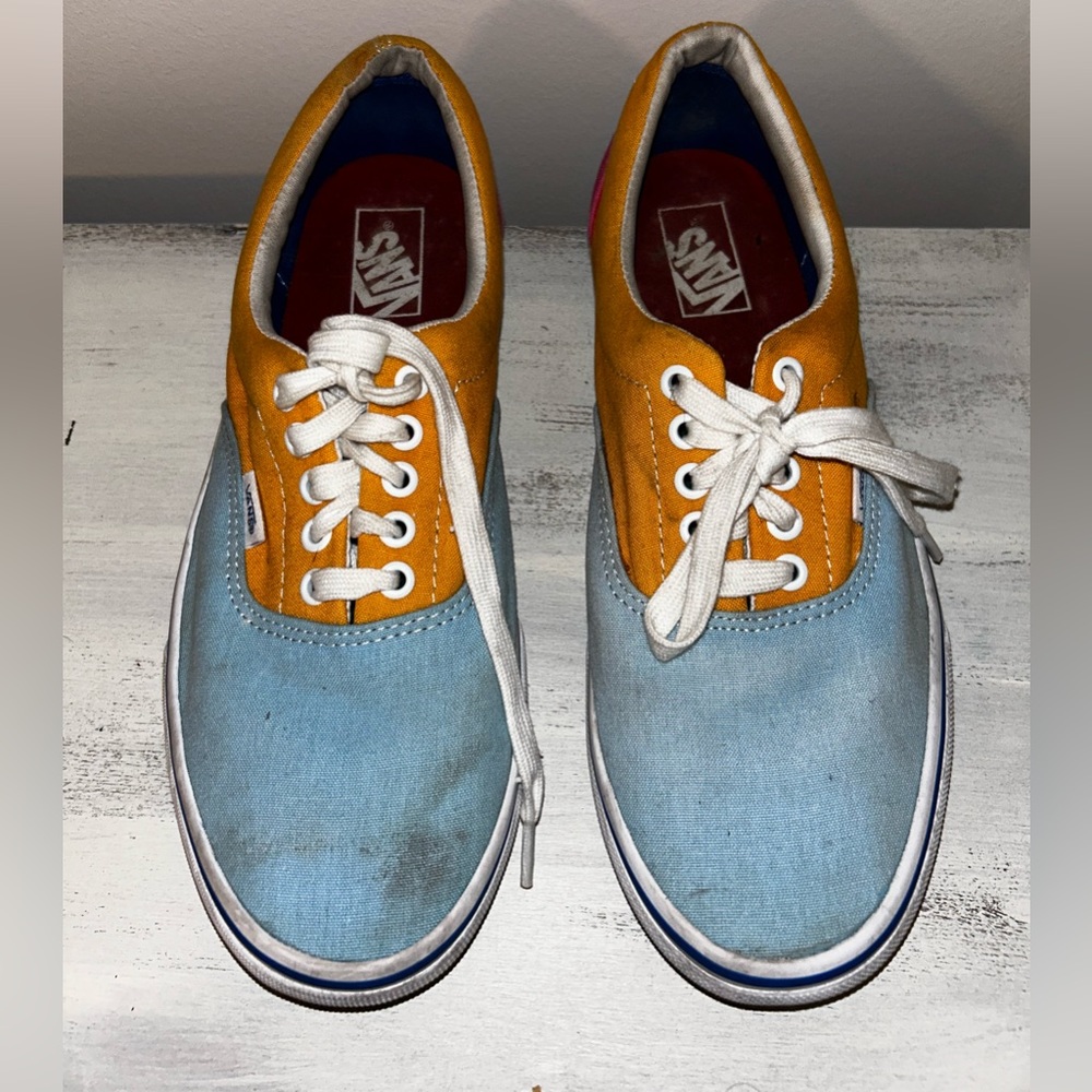 Vans Canvas Skate Shoes